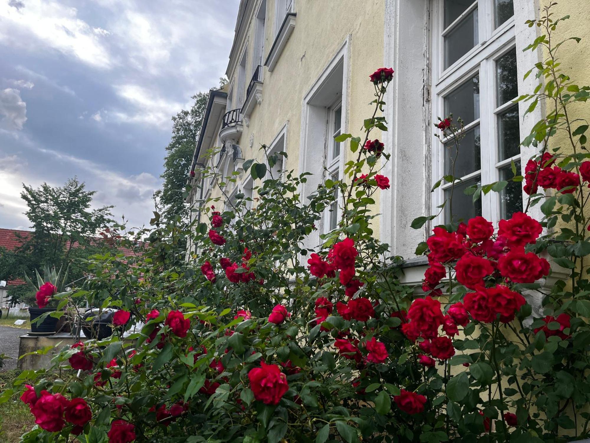 Gut Manderow An Der Ostsee Hohenkirchen  외부 사진